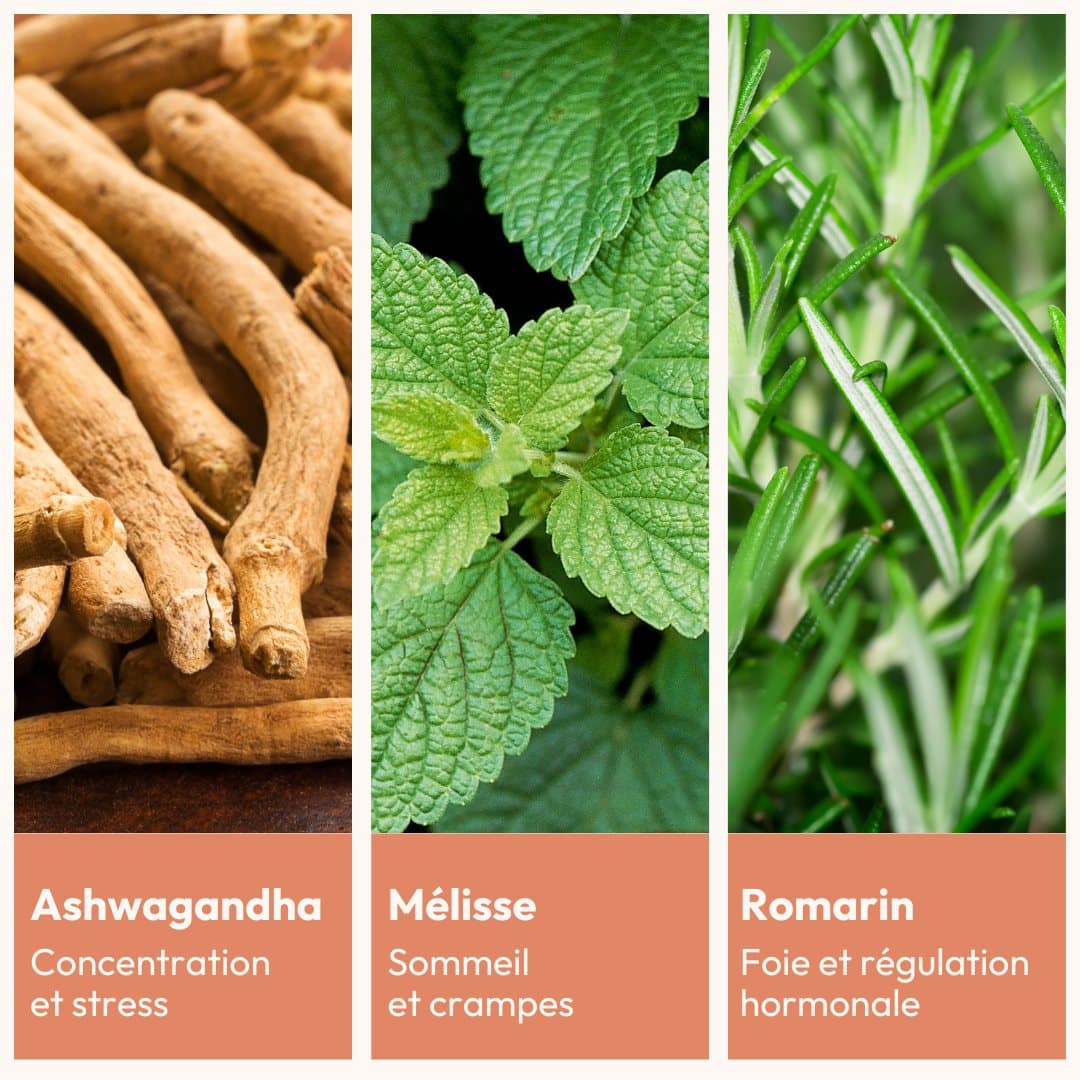 miy-essentiels-quilibre-f-minin-compl-ment-hormones-et-stress image 2