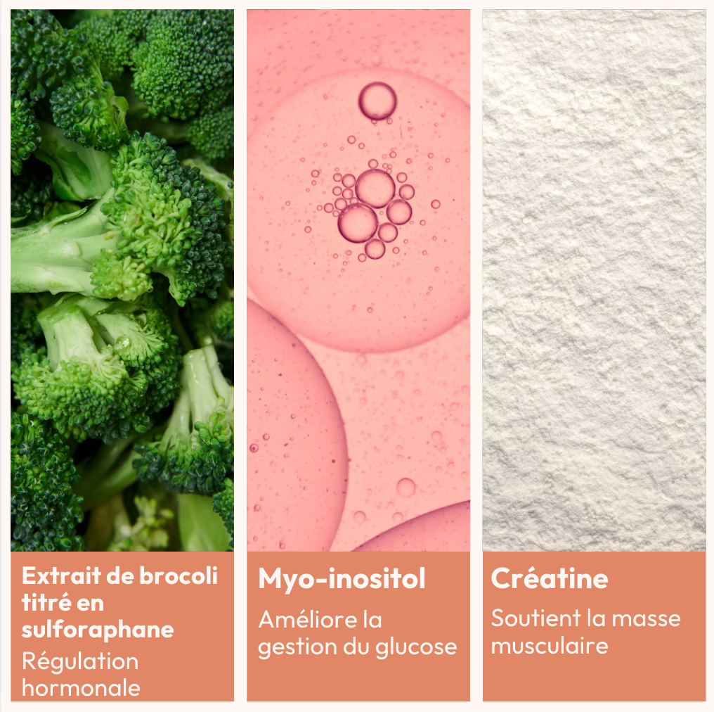 miy-my-pack-sopk-reset-drainage-foie-et-quilibre-hormonal image 7