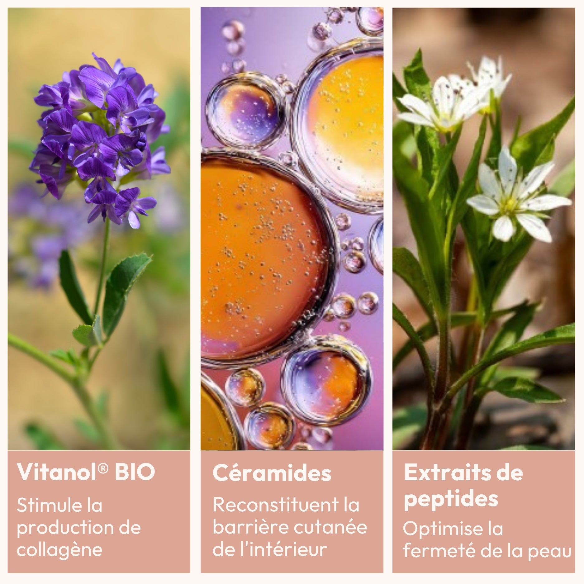 miy-duo-collag-ne-in-out-compl-ment-os-peau-articulations-baume-pro-collag-ne image 4