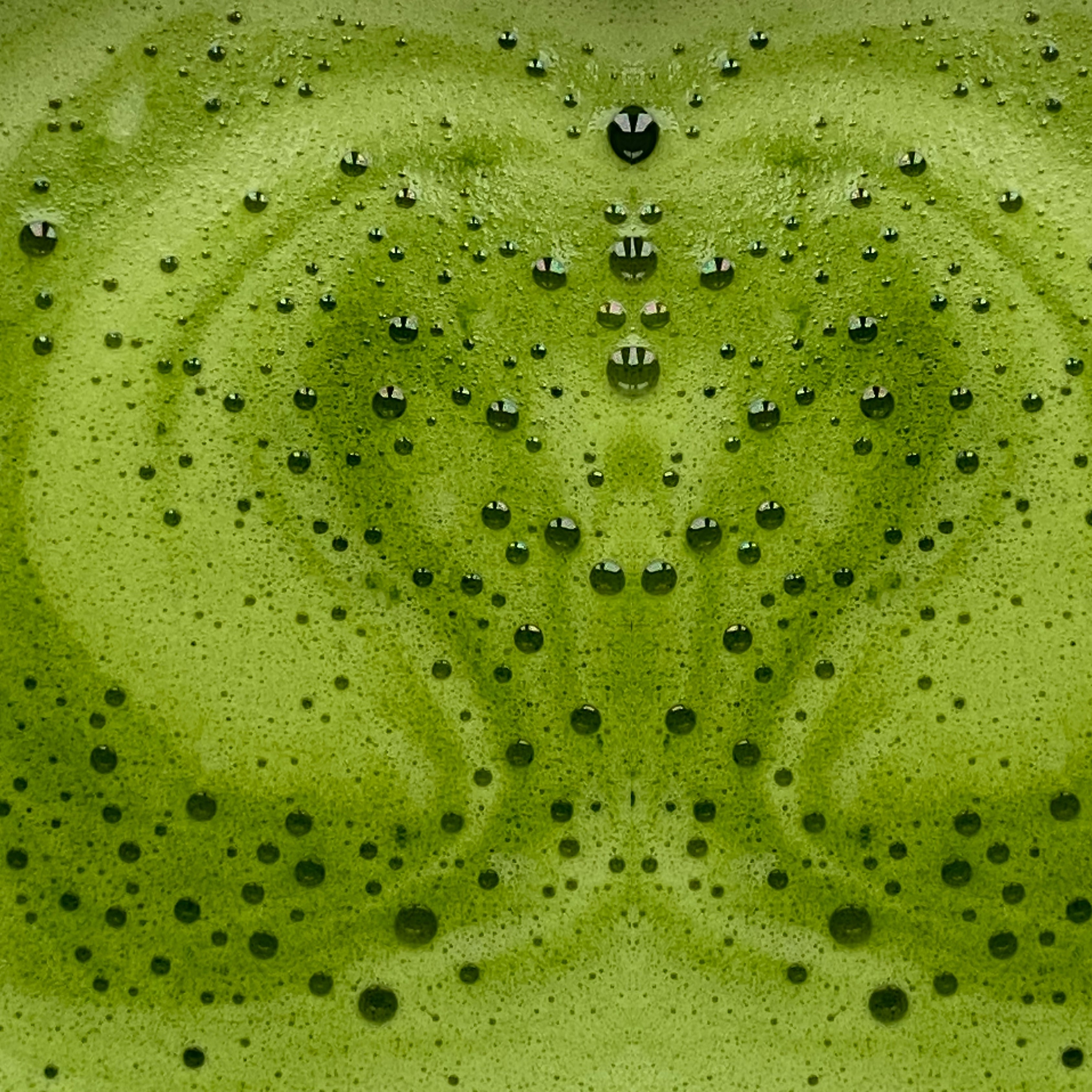 miy-matcha-latte-activateur-de-m-tabolisme-alternative-douce-au-caf image 2