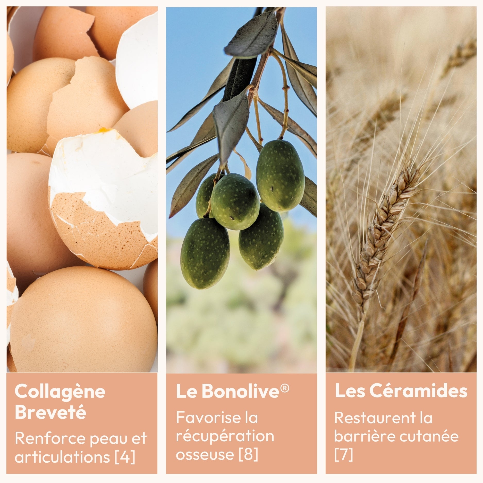miy-essentiels-os-peau-articulations-compl-ment-m-nopause image 2