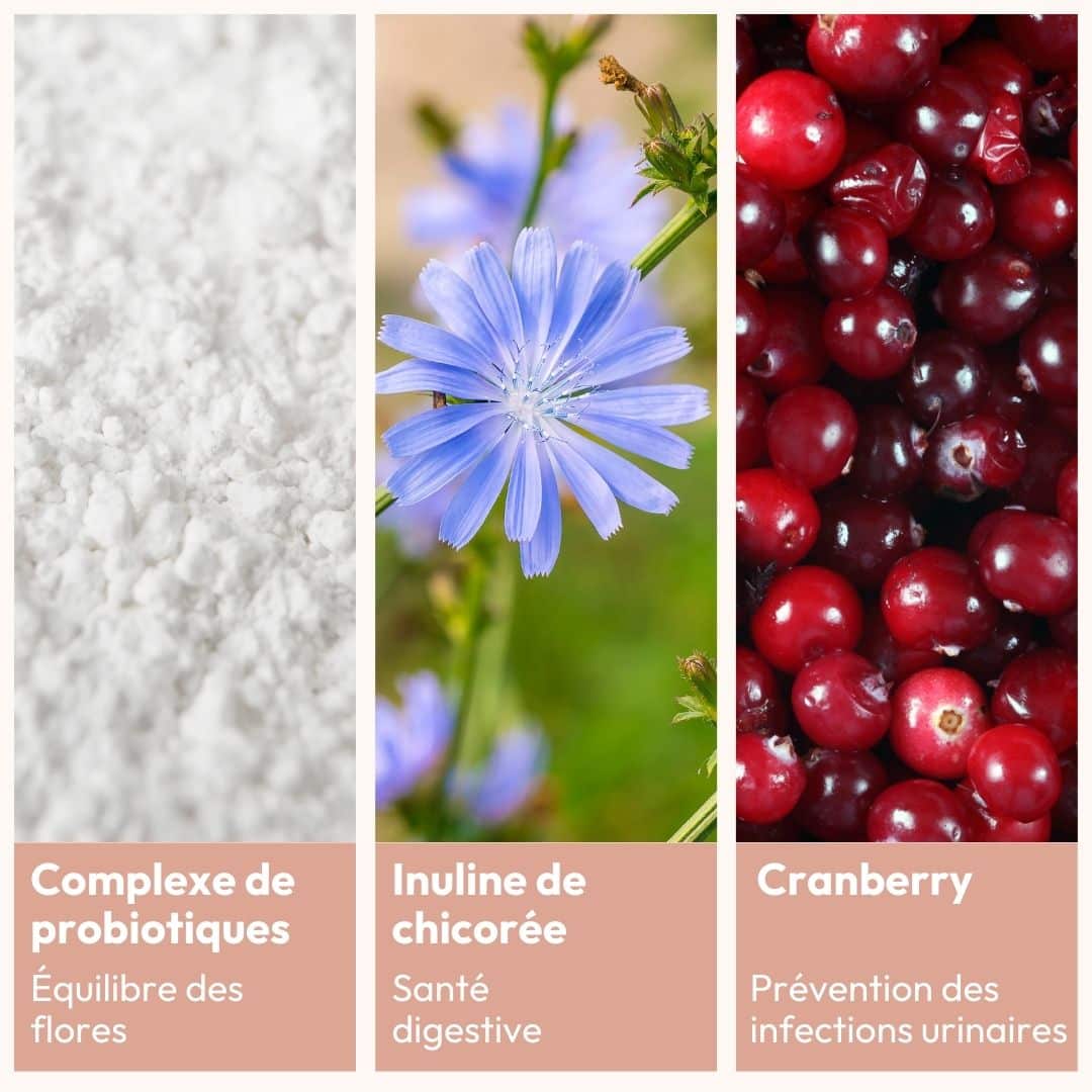miy-essentiels-flore-intime-intestinale-compl-ment-quilibre-microbiote image 3